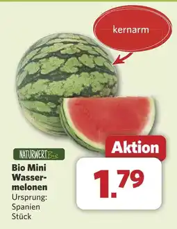 Combi Bio Mini Wasser- melonen aanbieding