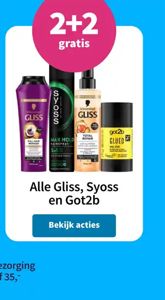 Plein.nl Alle Gliss, Syoss en Got2b aanbieding