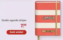 Bruna Studie-agenda stripes aanbieding