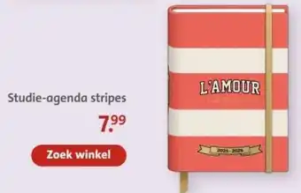 Bruna Studie-agenda stripes aanbieding