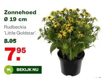 Welkoop Zonnehoed Ø 19 cm aanbieding