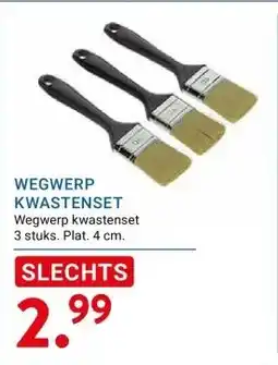 Kluswijs WEGWERP KWASTENSET aanbieding