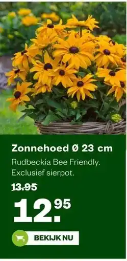 Welkoop Zonnehoed Ø 23 cm aanbieding