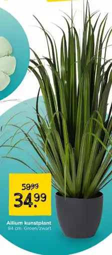 Xenos Allium kunstplant aanbieding
