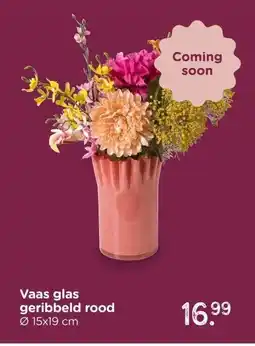 Xenos Vaas glas geribbeld rood aanbieding