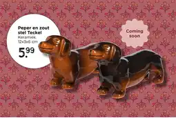 Xenos Peper en zout stel Teckel aanbieding