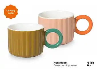 Xenos Mok Ribbel aanbieding