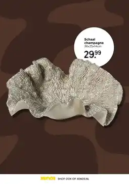 Xenos Schaal champagne aanbieding