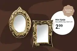 Xenos Mini lijstje aanbieding