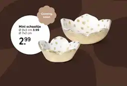 Xenos Mini schaaltje aanbieding