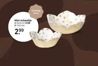 Xenos Mini schaaltje aanbieding