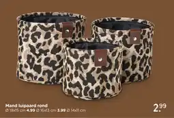 Xenos Mand luipaard rond aanbieding