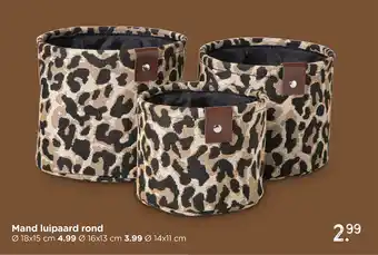Xenos Mand luipaard rond aanbieding