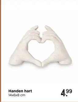 Xenos Handen hart aanbieding