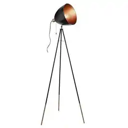 Praxis EGLO vloerlamp Chester zwart E27 aanbieding