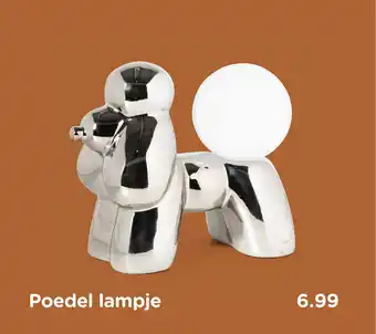 Xenos Poedel lampje aanbieding