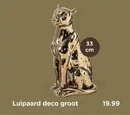 Xenos Luipaard deco groot aanbieding