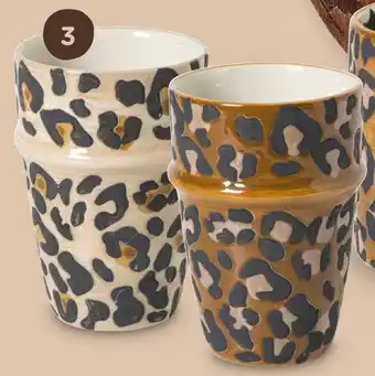 Xenos Cup aanbieding