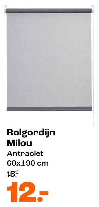 Kwantum Rolgordijn Milou aanbieding