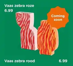 Xenos Vaas zebra rood aanbieding