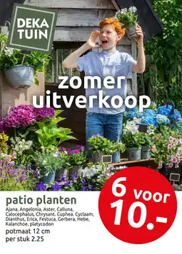 Deka Tuin Patio planten aanbieding