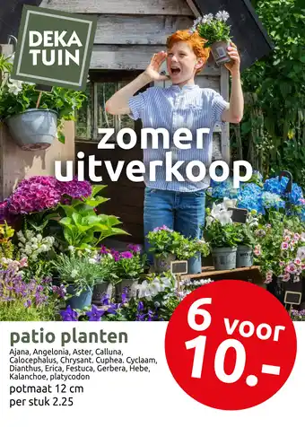 Deka Tuin Patio planten aanbieding