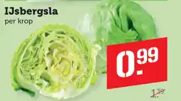 Dagwinkel IJsbergsla aanbieding