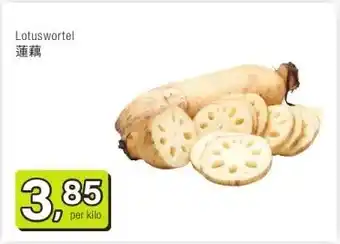 Amazing Oriëntal Lotuswortel 蓮藕 aanbieding