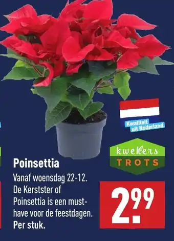 ALDI Poinsettia aanbieding