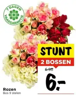 Vomar Voordeelmarkt Rozen aanbieding