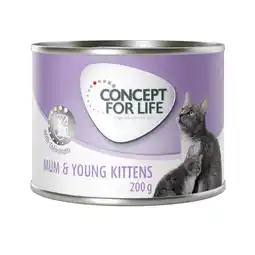 Zooplus 24x200g Mum & Young Kittens Mousse Concept for Life Kattenvoer aanbieding