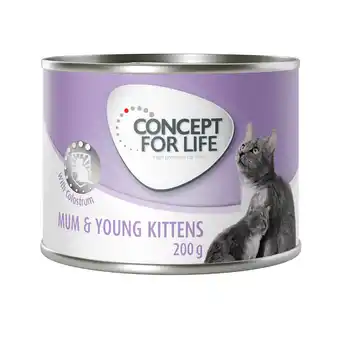 Zooplus 24x200g Mum & Young Kittens Mousse Concept for Life Kattenvoer aanbieding