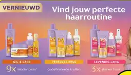 Kruidvat Andrélon aanbieding