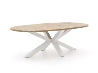 Kees Smit ROUGH-Y Ellips dining tuintafel 240x120cm aanbieding