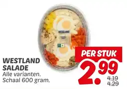 Dekamarkt Westland salade aanbieding