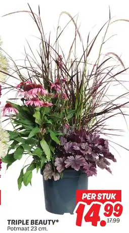 Dekamarkt Triple beauty aanbieding