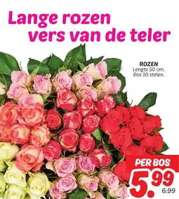 Dekamarkt Rozen aanbieding