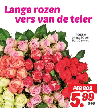 Dekamarkt Rozen aanbieding