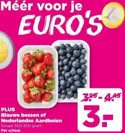 PLUS PLUS Blauwe bessen of Nederlandse Aardbeien aanbieding