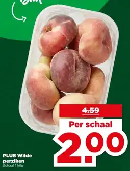 PLUS PLUS Wilde perziken aanbieding