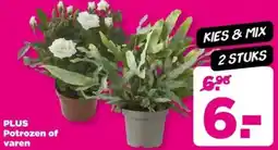 PLUS PLUS Potrozen of varen aanbieding