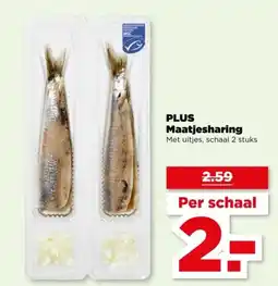 PLUS PLUS Maatjesharing aanbieding