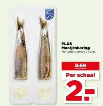 PLUS PLUS Maatjesharing aanbieding