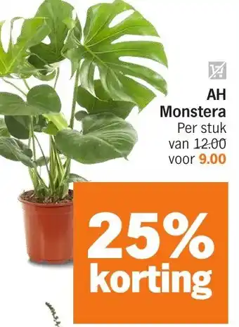 Albert Heijn AH Monstera aanbieding