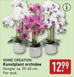 ALDI Home creation kunstplant orchidee aanbieding