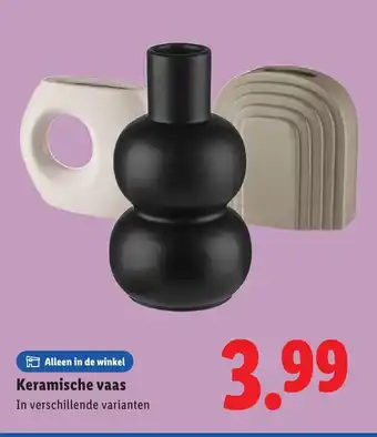 Lidl Keramische vaas aanbieding