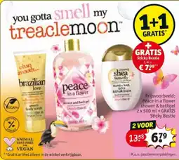 Kruidvat You Gotta Smell my Treaclemoon aanbieding