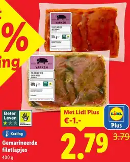 Lidl Gemarineerde filetlapjes aanbieding