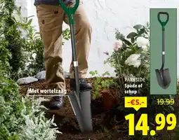 Lidl Parkside Spade of schop aanbieding