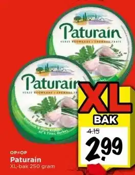 Vomar Voordeelmarkt Paturain aanbieding
